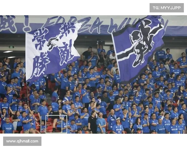 武汉三镇再度出击,力争季后赛席位 武汉三镇再度出击,力争季后赛席位